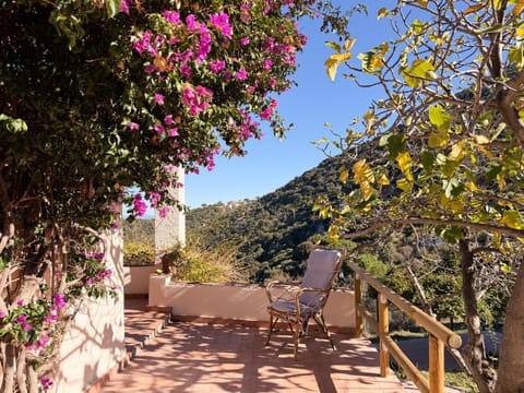 Balcony/Terrace, Garden view