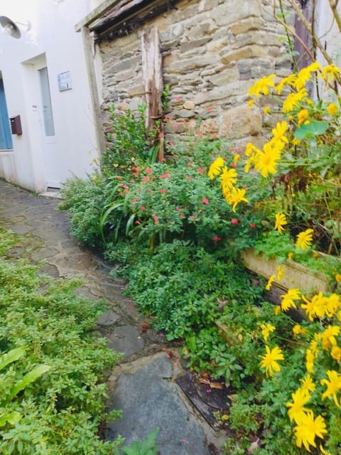Ker Elisa 4 pers Maison de pêcheur à 50 m de la mer House in Locquirec