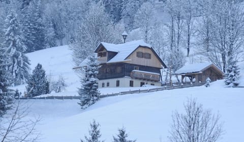 Landhaus Gschwandtner House in Schladming