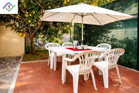 Patio, Day, Garden, Dining area, Inner courtyard view