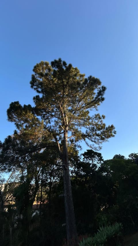 Casa Ohana Completa - Miguel Pereira Villa in Miguel Pereira