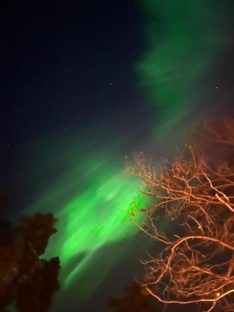 Night, Natural landscape