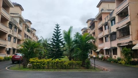 Property building, Garden, Garden view