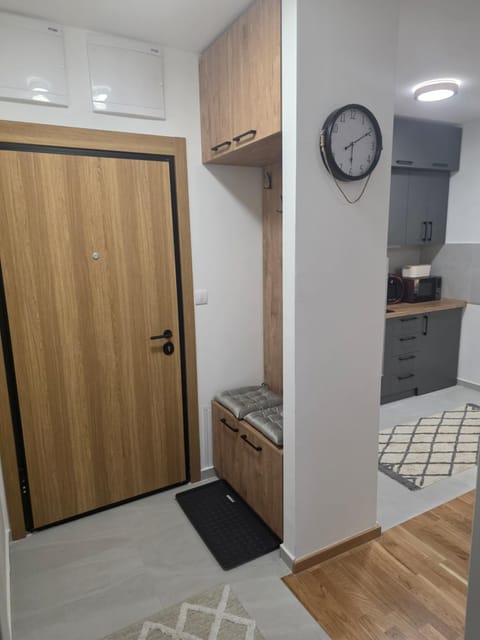 Jelena Lux Apartment in Timiș County