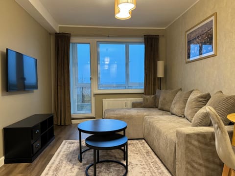 Lake View Apartment Apartment in Lithuania