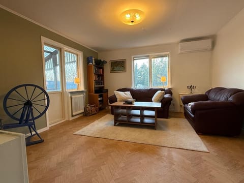 Living room, Seating area, air conditioner