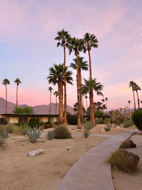 Patio, Patio, Garden, Mountain view
