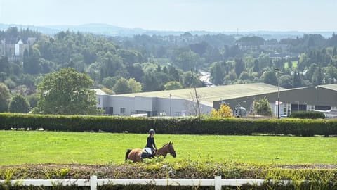 Spring, Day, Natural landscape, Bird's eye view, Garden, Horse-riding, Animals, Garden view, Garden view, Landmark view, Landmark view, Mountain view, Mountain view