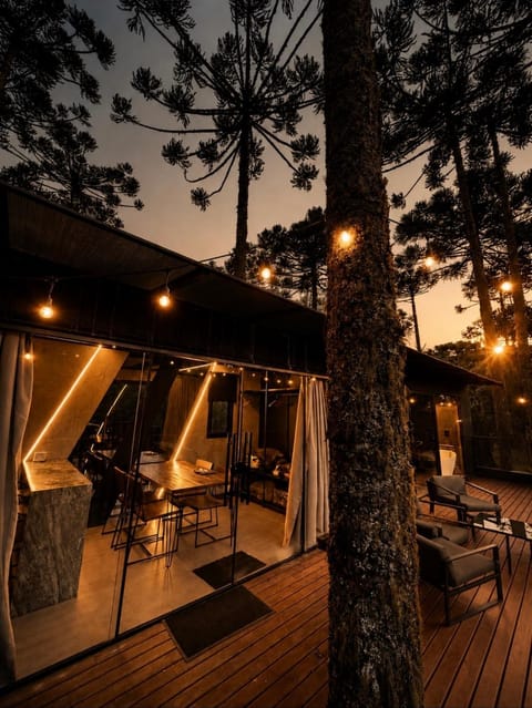 Patio, Night, Natural landscape, sunbed