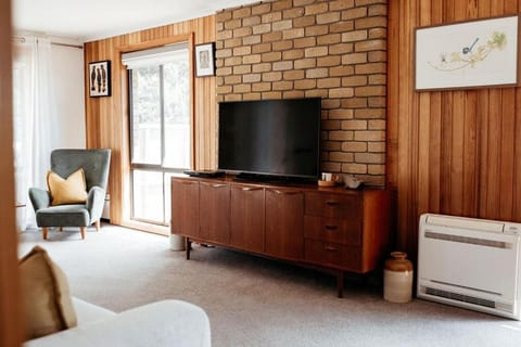 StudioNESS House in Scamander