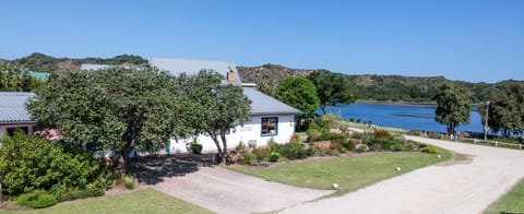 Natural landscape, River view