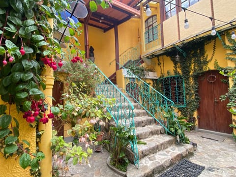 Patio, Garden