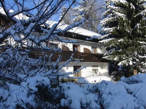 Property building, Natural landscape, Winter