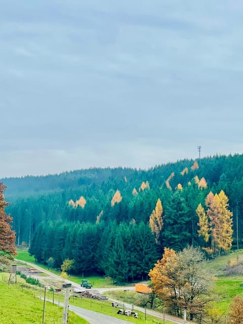 Day, Natural landscape, Mountain view