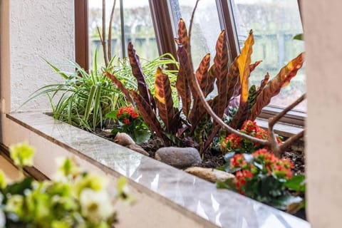 Ferienhaus Hebborn House in Bergisch Gladbach