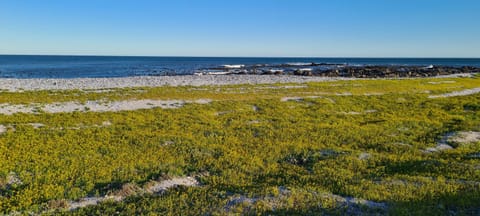 Oystercatcher Villa House in Western Cape