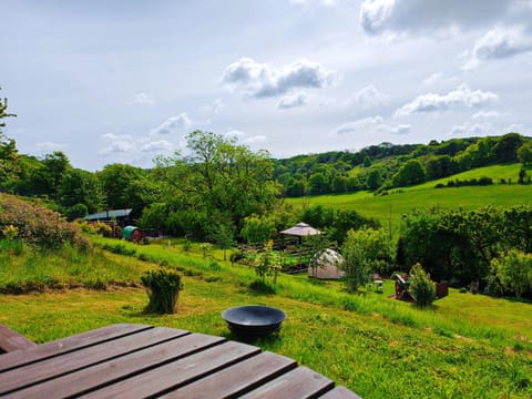 Natural landscape