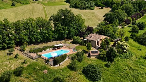 Bird's eye view, Swimming pool
