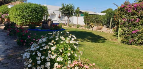 Garden, Garden view