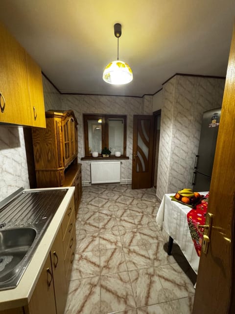 Enescu Flat Apartment in Craiova