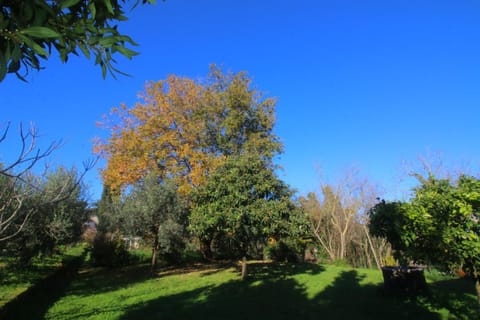 Day, Natural landscape, Garden, Garden, Garden view