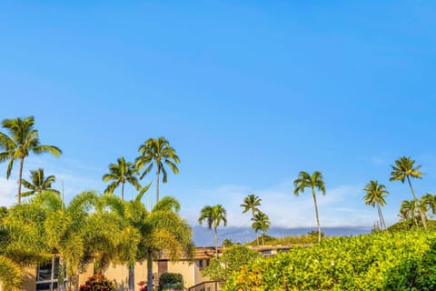 Napili Ridge K6 Apartment in Kapalua