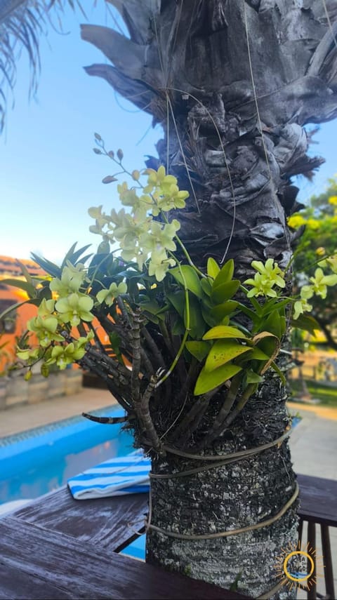 Búzios - Casa da Marina Navegável Rio de Janeiro Brazil House in Armacao dos Buzios