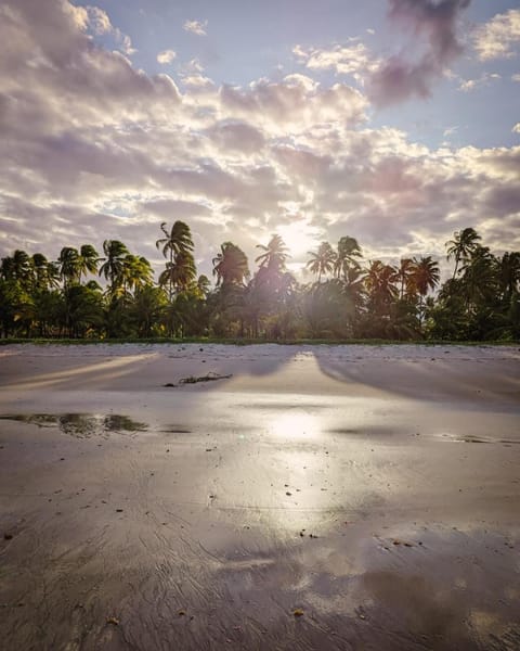 Natural landscape, Beach, Sea view, Sunset