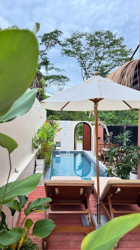 Garden, Garden view, Pool view, Swimming pool, sunbed