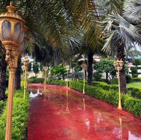 Black Bear Farm house with 5 Bedroom swimming pool and garden House in Jaipur