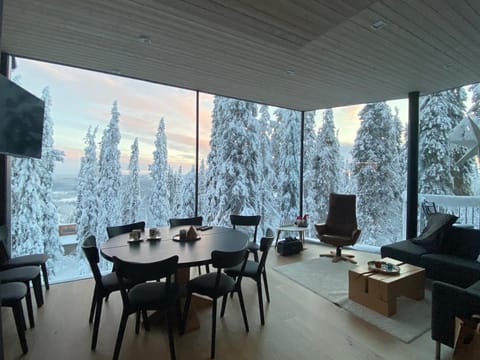 Arctic Skyline Villa Apartment in Lapland