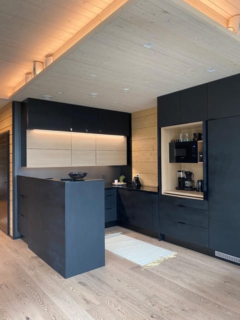 Arctic Skyline Villa Apartment in Lapland