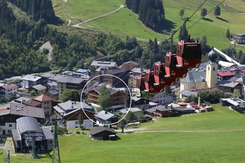 Neighbourhood, Bird's eye view, Summer