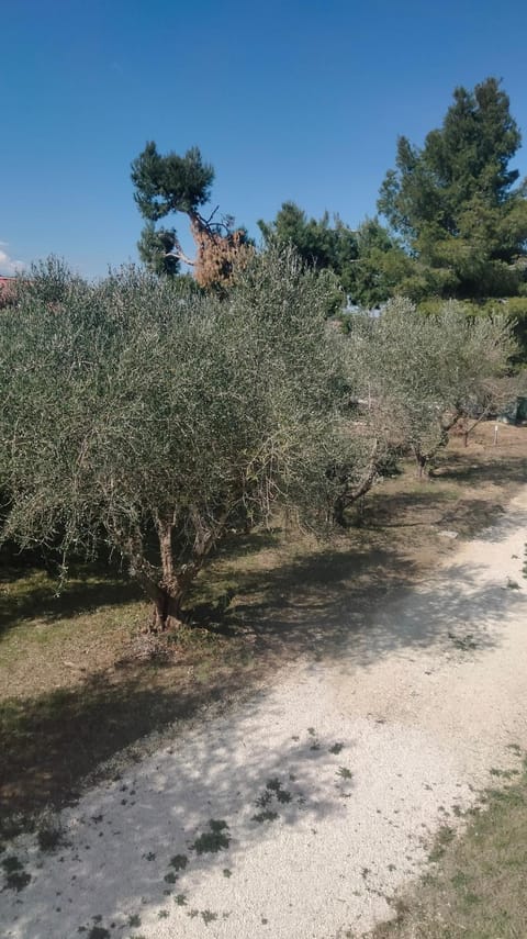 La Casa del Sole Apartment in Umbria