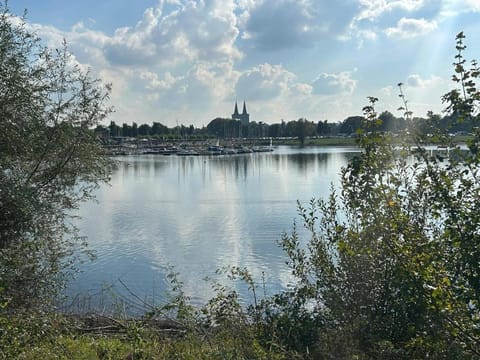 Lake view