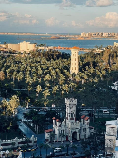 Property view