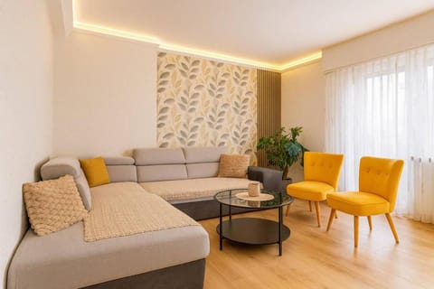 Appartement Très Moderne, Rénover, Triple Frontière, SAINT LOUIS CENTRE Apartment in Saint-Louis