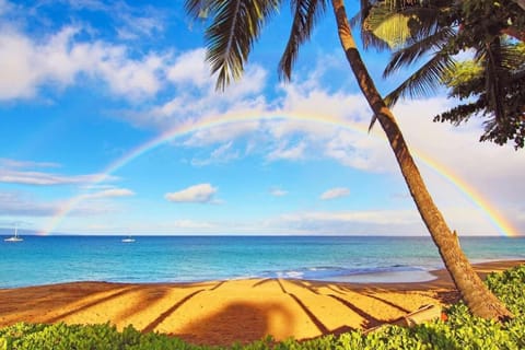 Natural landscape, Beach, Sea view