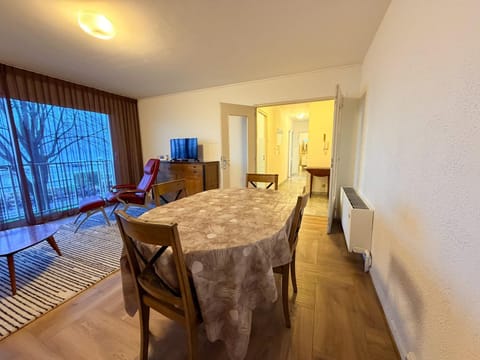 Bel appartement avec animaux admis à Évian - FR-1-498-124 Apartment in Évian-les-Bains