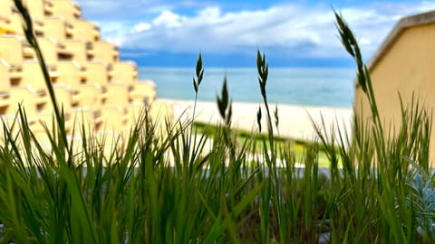 Senigallia, nuovo monolocale fronte mare al Residence Le Piramidi - SE078 Apartment in Senigallia