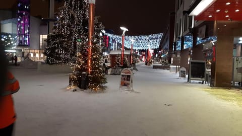 Valoisa huoneisto lähellä ydinkeskustaa Apartment in Rovaniemi