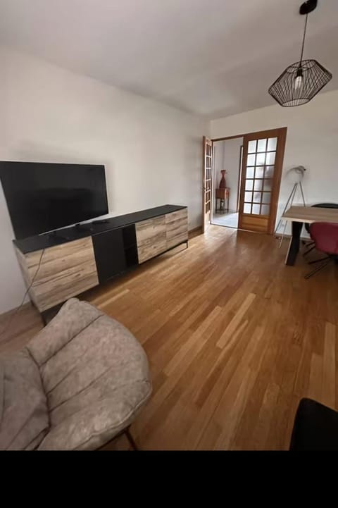 Appartement spacieux Apartment in Bourgogne-Franche-Comté