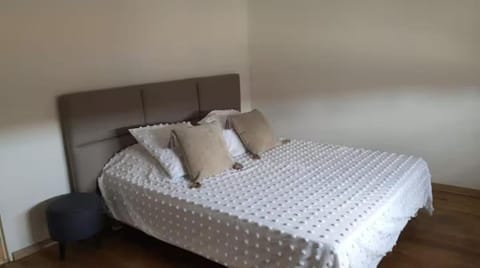 Appartement spacieux Apartment in Bourgogne-Franche-Comté