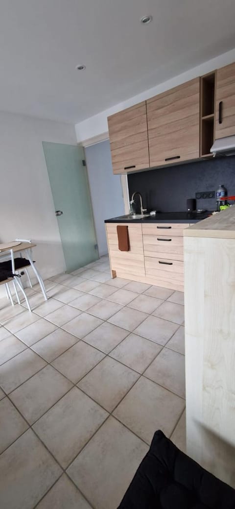 Studio moderne à Évian, lac, port et thermes Apartment in Évian-les-Bains