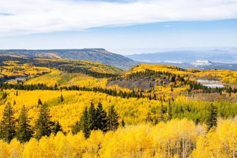 Canyon View Oasis home House in Grand Junction