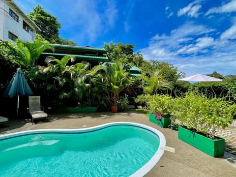 Garden, Garden view, Pool view, Swimming pool, sunbed