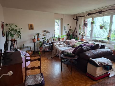 Mos paradise Apartment in Zurich City