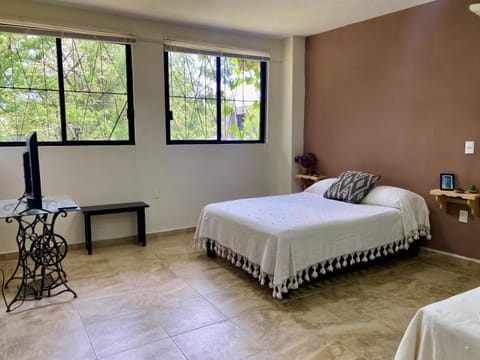 2-Beds Loft in Oaxaca - Steps from Downtown Apartment in Oaxaca