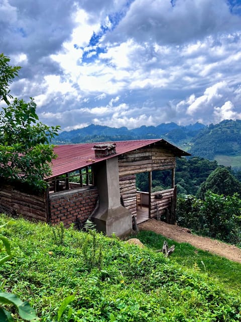 Property building, Natural landscape, Mountain view