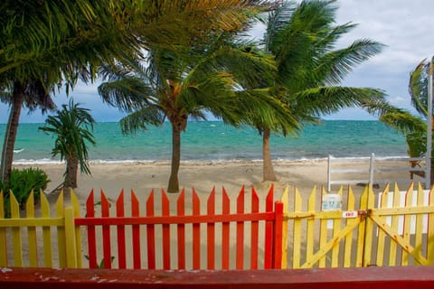 Julia's Beachfront Guesthouse and Cabanas Inn in Placencia